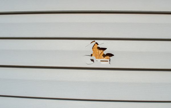 Cost of Siding Hole Patching in Bowie